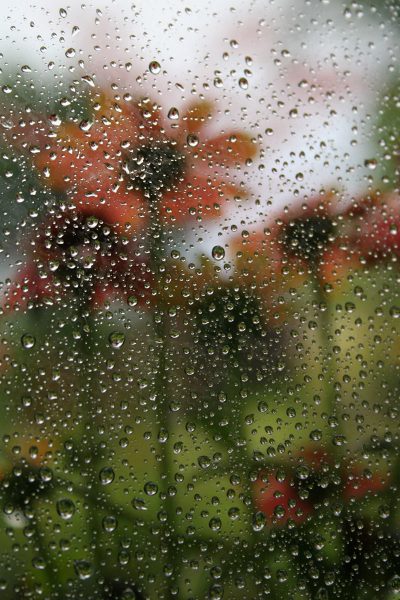 Hinter dem Regen (Foto: Carolin Fritz)