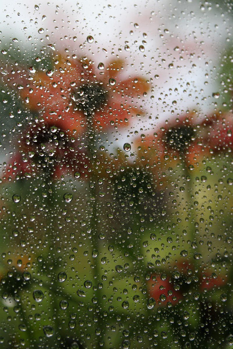 2014-bdj-39-hinter-dem-regen-cf-5.5 Hinter dem Regen (Foto: Carolin Fritz)