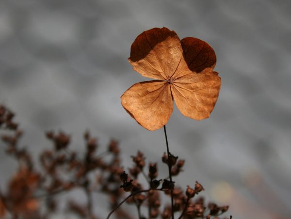 Hoch hinaus (Foto: Carolin Fritz)