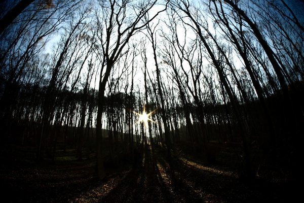 Lichterwachen (Foto: Peter Zastrow)