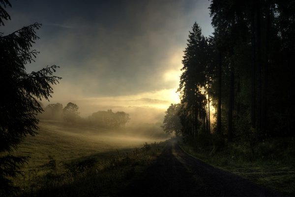 Morgenstimmung (Foto: Uli Pfeufer)