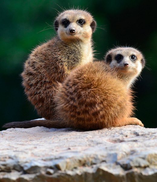 Obacht (Foto: Karl-Heiz Richter)