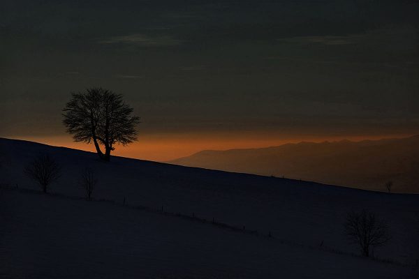 Twilight (Foto: Frank Hausdörfer)