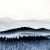 Winterwälder (Foto: Peter Zastrow)