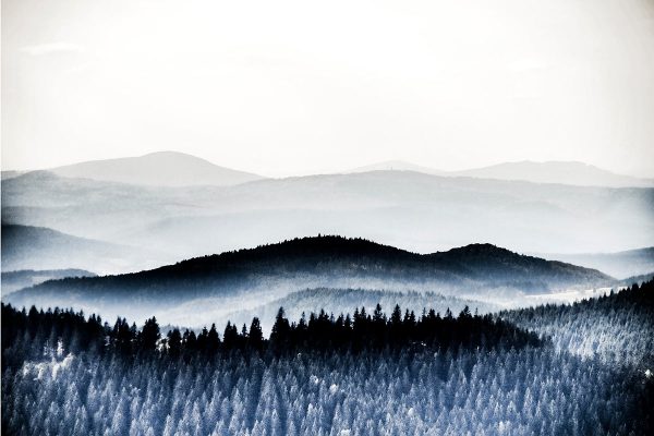 Winterwälder (Foto: Peter Zastrow)