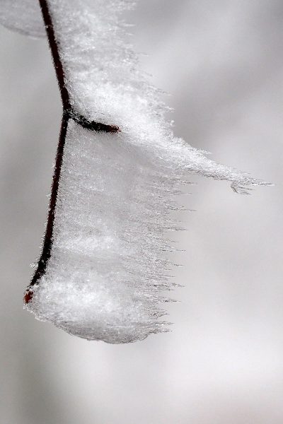 Serie: Raues (Foto: Peter Zastrow)