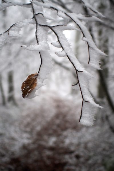 Serie: Raues (Foto: Peter Zastrow)