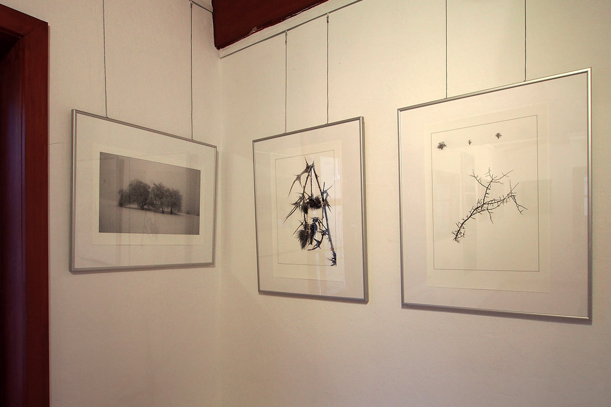 Fotoausstellung Kontrast . Galerie im Bürgerhaus Zella-Mehlis . 2014 (Foto: Manuela Hahnebach)