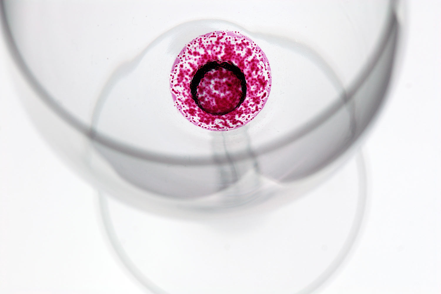 Rubinroter Rest 3 (Foto: Manuela Hahnebach) . Fotoausstellung Kontrast . Galerie im Bürgerhaus Zella-Mehlis . 2014