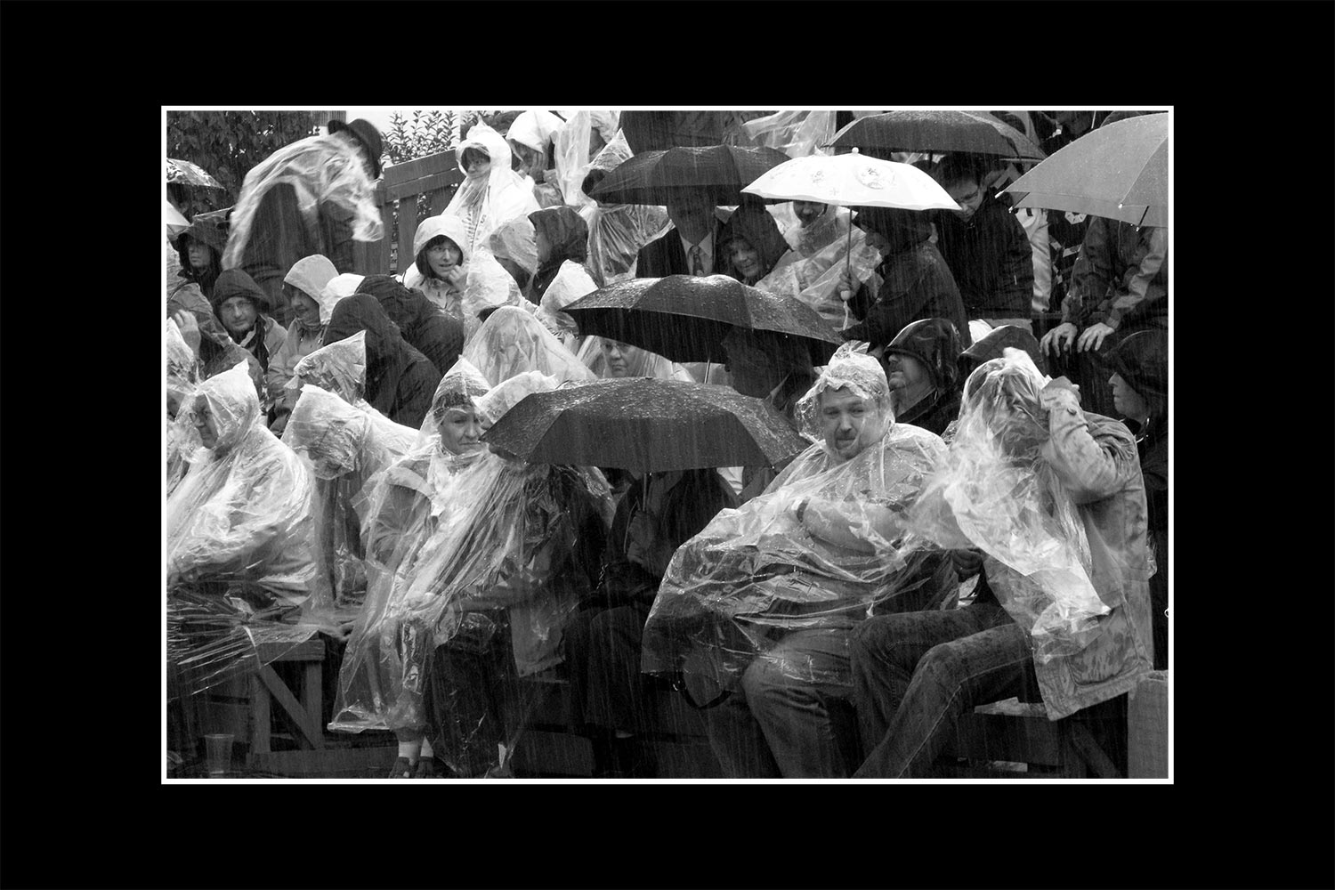 Fotoclub: Mappen/Kalender-Bilder