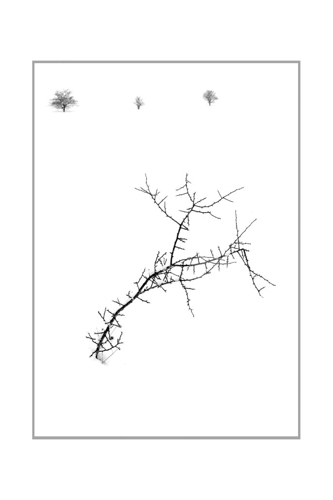 Grazie (Foto: Peter Zastrow) . Fotoausstellung Kontrast . Galerie im Bürgerhaus Zella-Mehlis . 2014