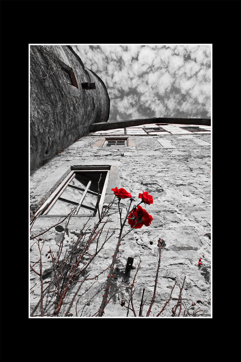 Fotoclub: Bild des Monats 01.2023