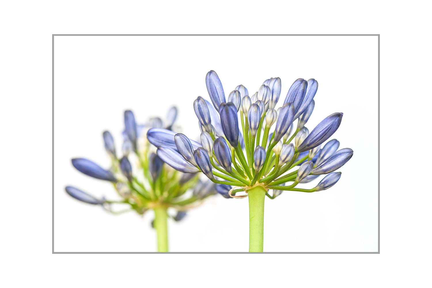 Fotoclub