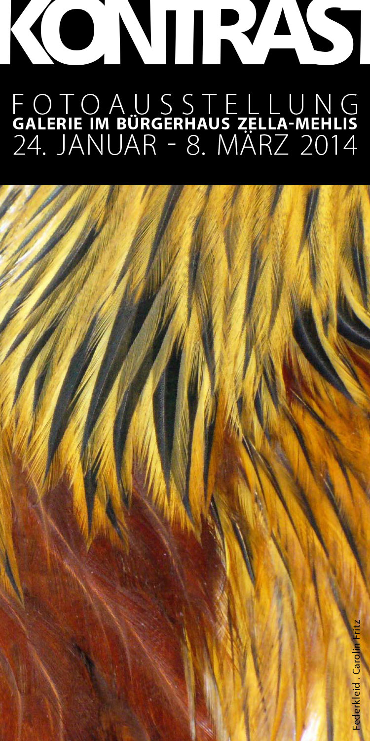 Fotoclubausstellung "Schau!" abbauen