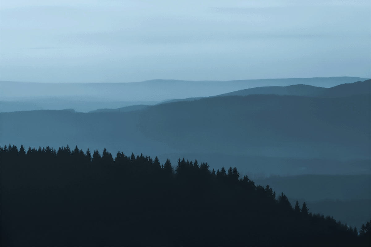 12. Thüringer Landesfotoschau 2020