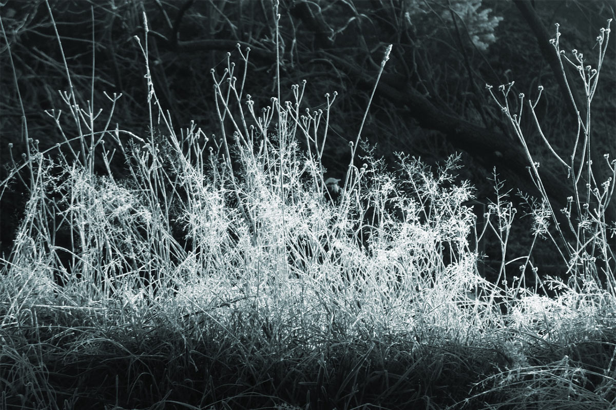 Fotoclub online