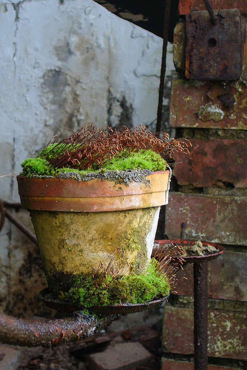 2014-fotoausstellung-nah-und-fern-cf-vergessen Vergessen (Foto: Carolin Fritz)