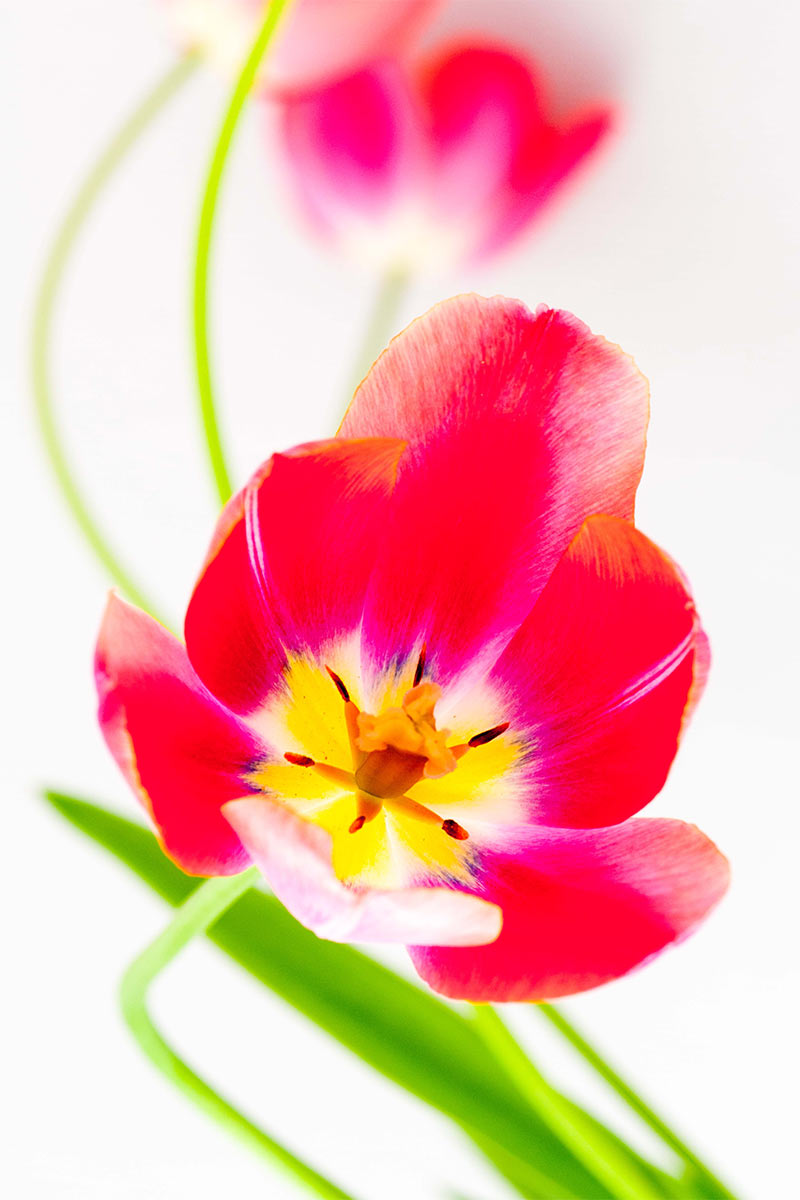 Fotoclub