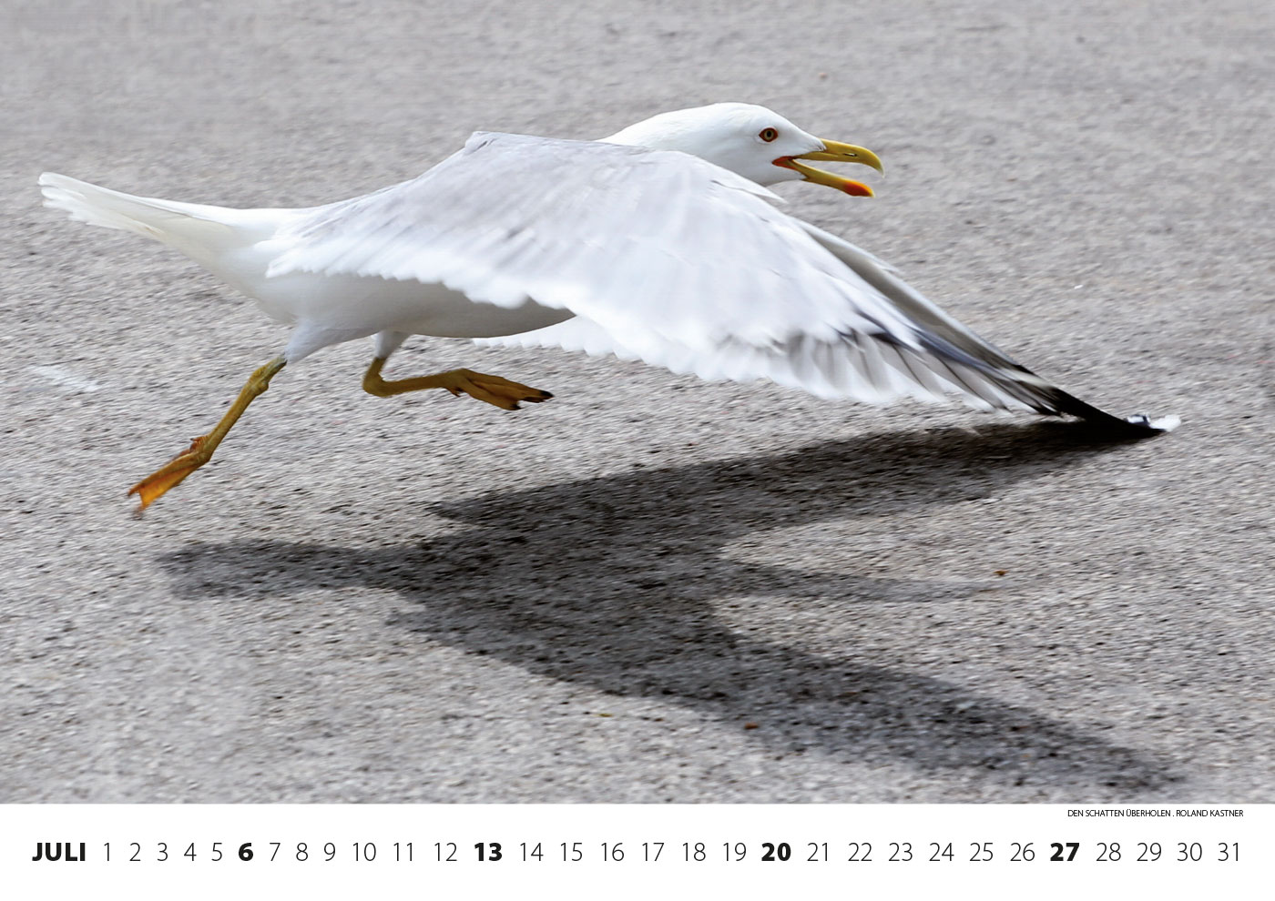 2014-kalender-fotoclub-kontrast-suhl-07 Kalender Fotoclub Kontrast 2014: Den Schatten überholen (Foto: Roland Kastner)