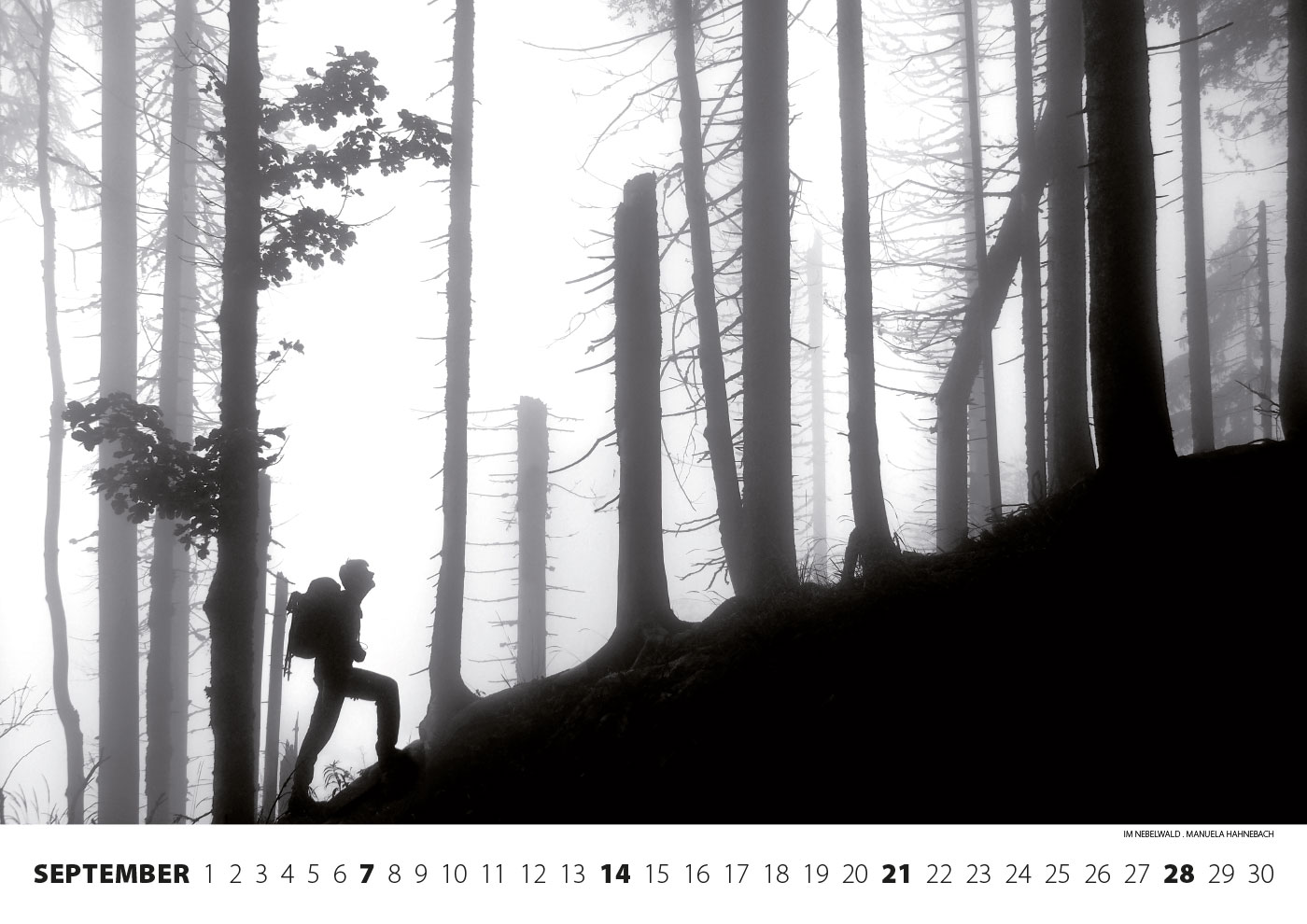 2014-kalender-fotoclub-kontrast-suhl-09 Kalender Fotoclub Kontrast 2014: Im Nebelwald (Foto: Manuela Hahnebach)