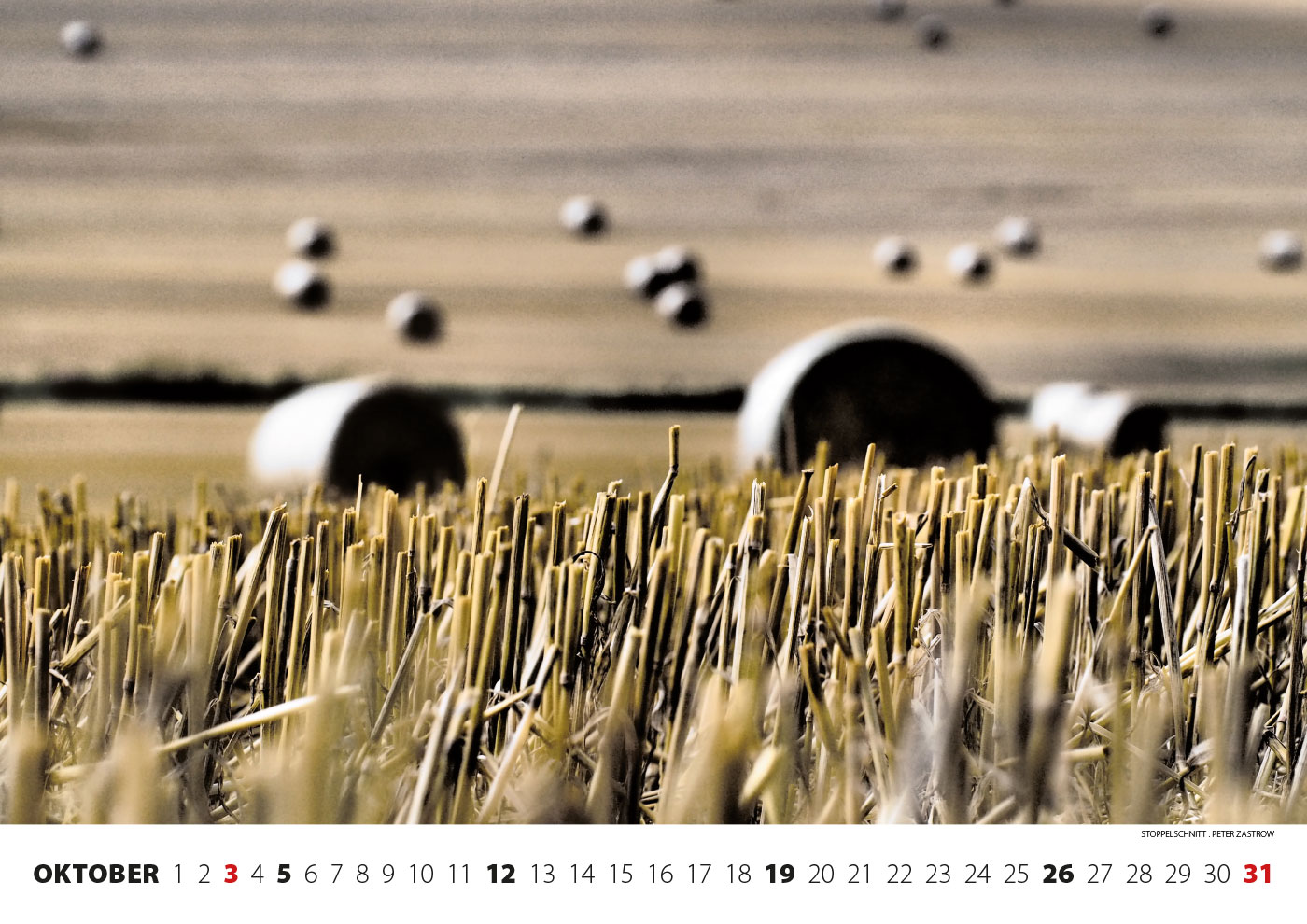 2014-kalender-fotoclub-kontrast-suhl-10 Kalender Fotoclub Kontrast 2014: Stoppelschnitt (Foto: Peter Zastrow)