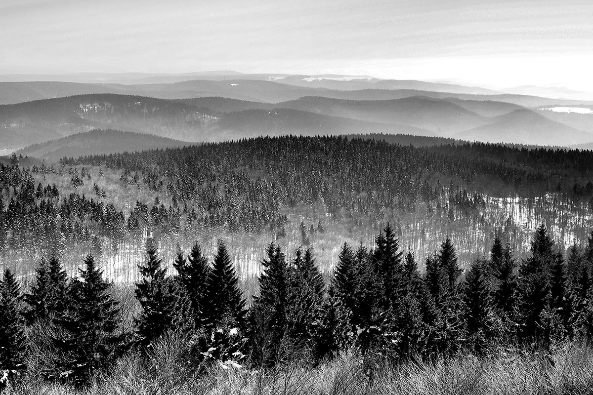 Adlersbergblick (Foto: Manuela Hahnebach)