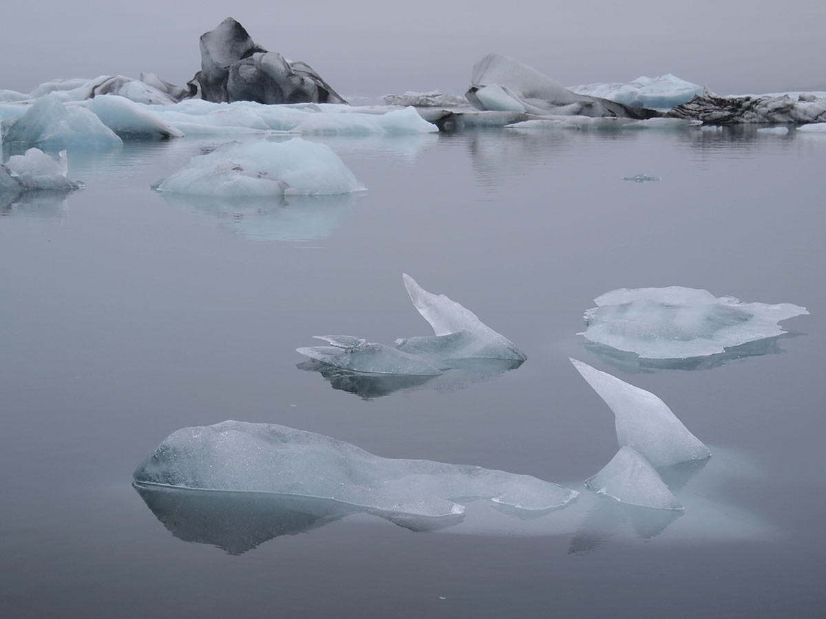 Windflüchter (Foto: Andreas Kuhrt)