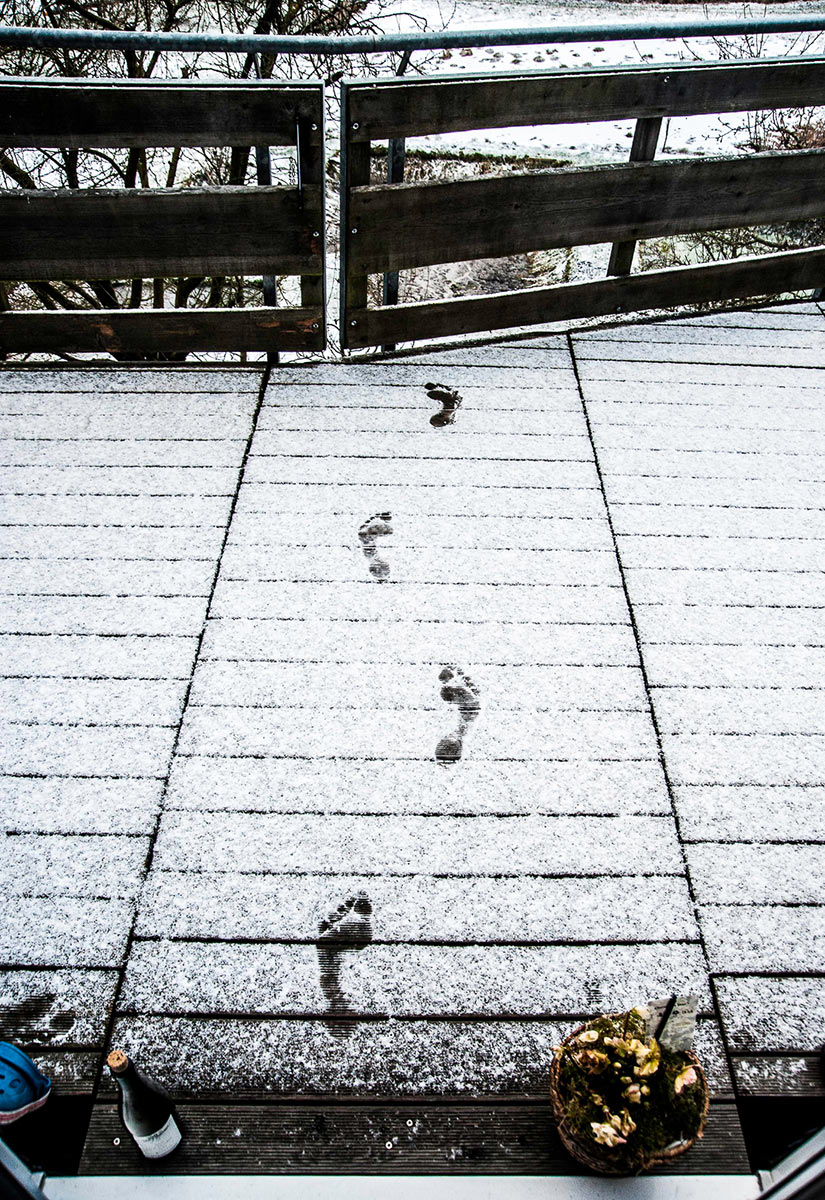 Serie: Der Gast (Foto: Uli Pfeufer)