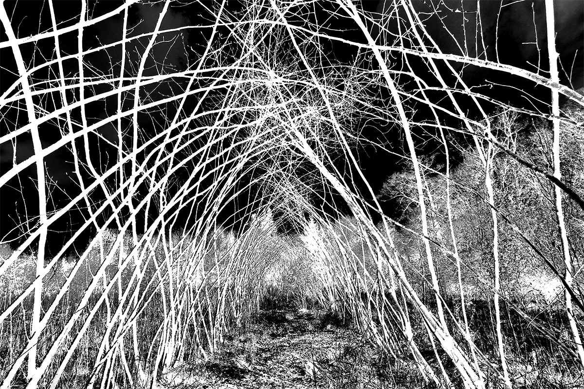 Fotoclub