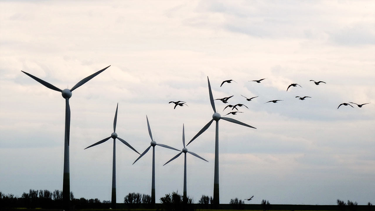 2015-05-17-luftbewegung-fh-6.33 Luftbewegung (Foto: Frank Hausdörfer)