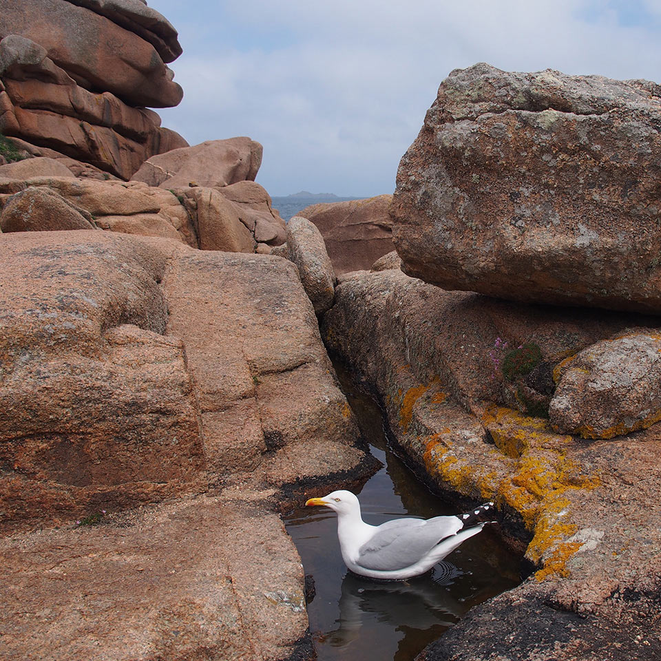 2015-06-03-badende-mh-5 Badende (Foto: Manuela Hahnebach)