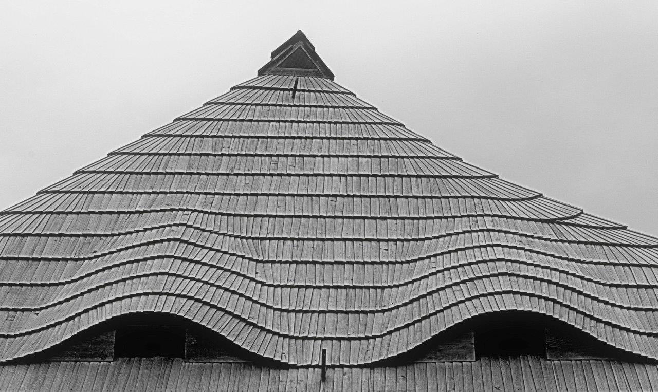 2015-06-06-dachlandschaft-dsc4401-khr-7-1 Dachaugen (Foto: Karl-Heinz Richter)