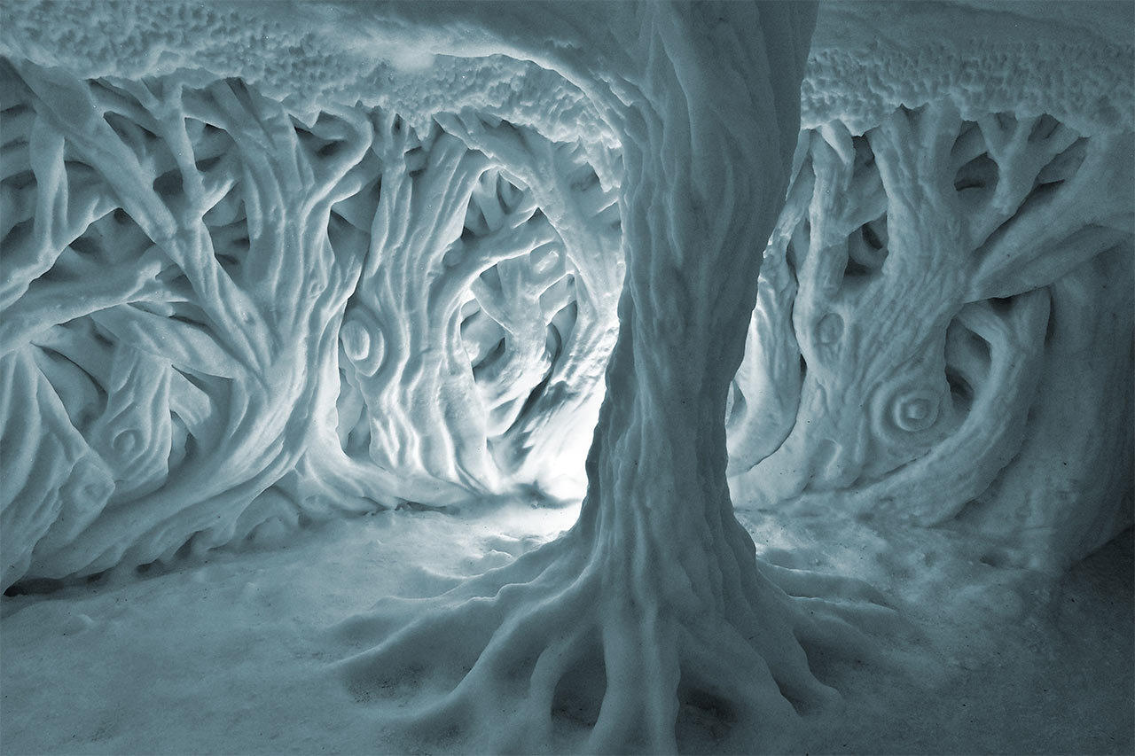 2015-06-08-eiswald-ak-7-1 Eiswald (Foto: Andreas Kuhrt)