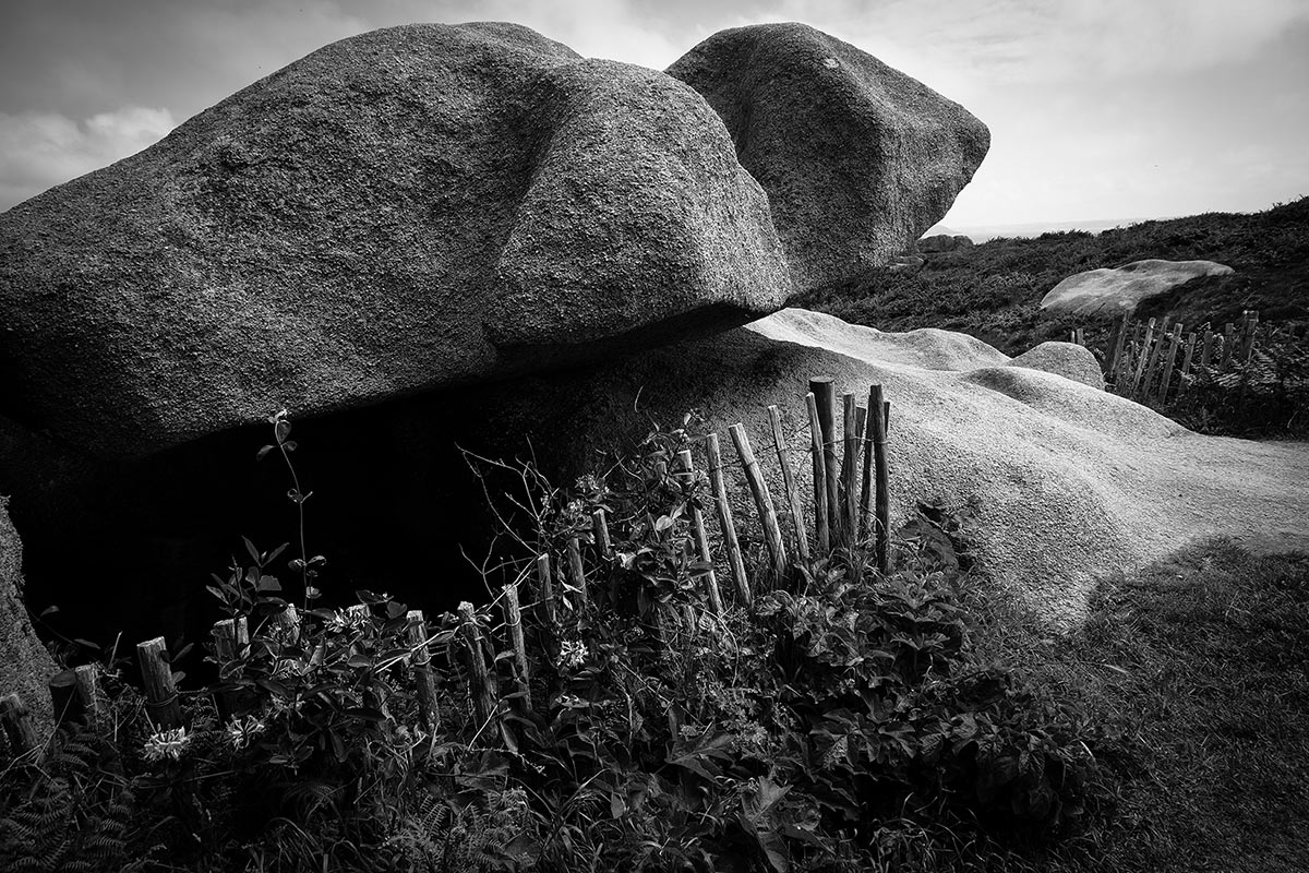 2015-06-22-schildkroete-rk-5 Schildkröte (Foto: Rainer Koch)
