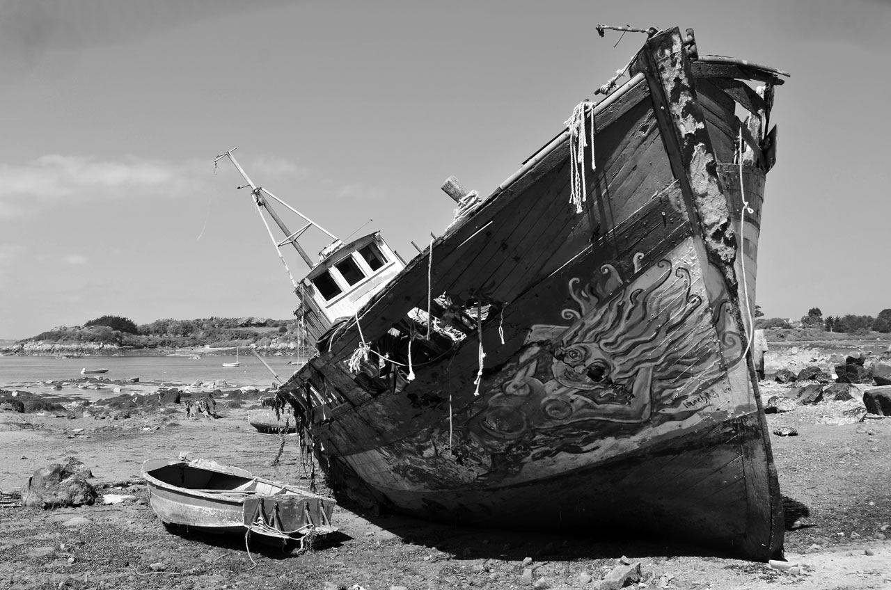 2015-06-30-wrack-gg-5.66 Wrack (Foto: Günter Giese)