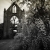 Serie: Abbaye de Beauport (Foto: Rainer Koch)