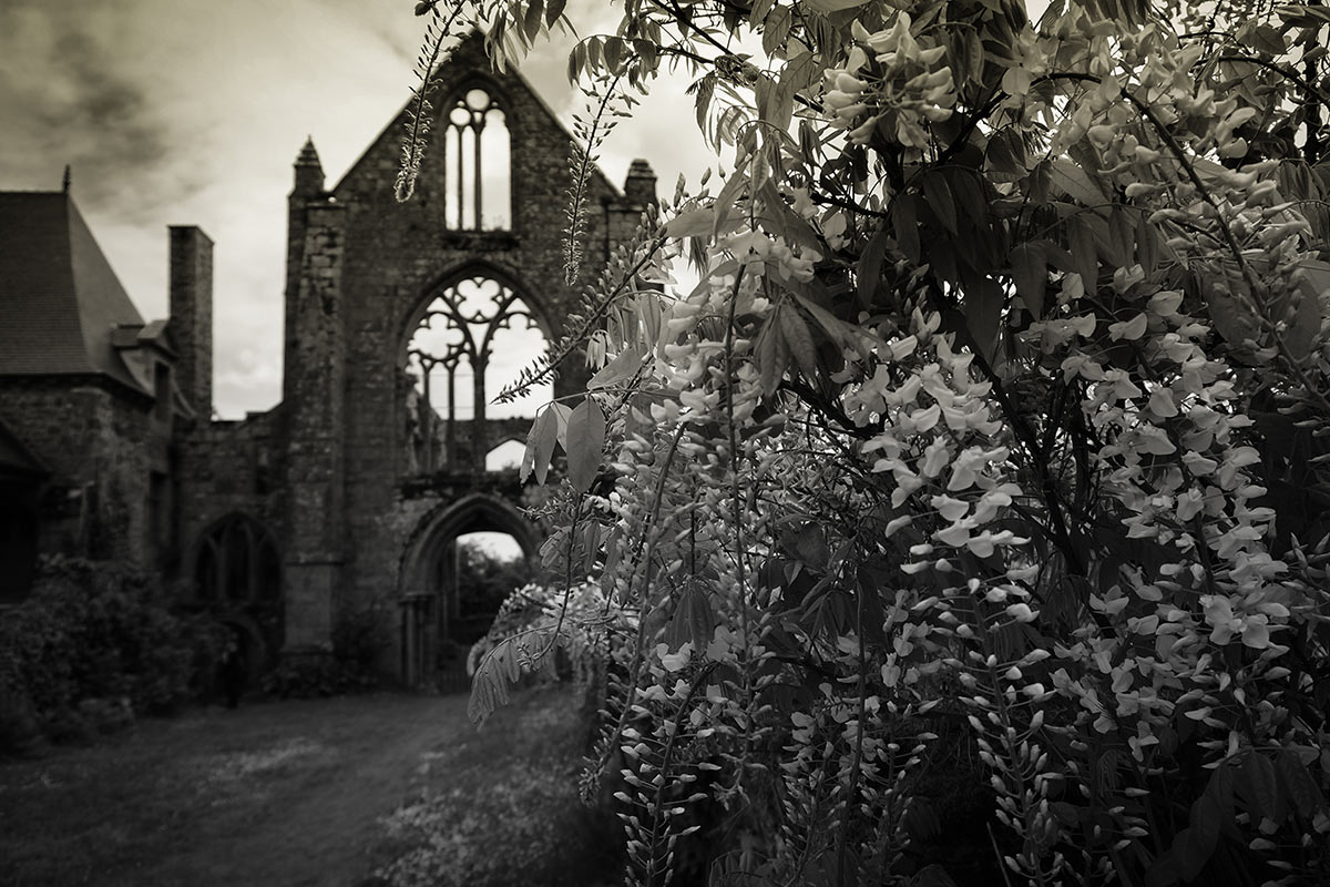 2015-06-zz05-dsc00316-rk-5.5 Serie: Abbaye de Beauport (Foto: Rainer Koch)