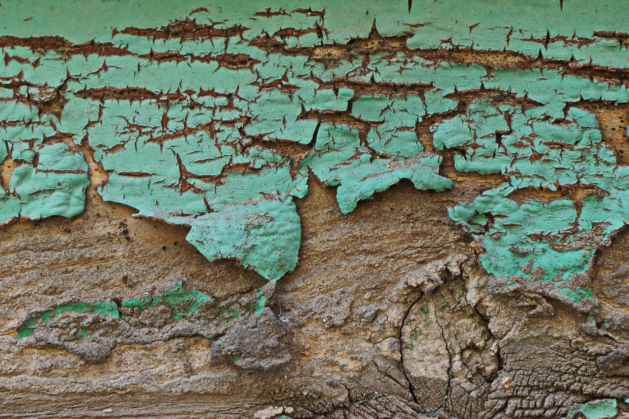 Serie: Vergänglichkeit (Foto: Roland Kastner)