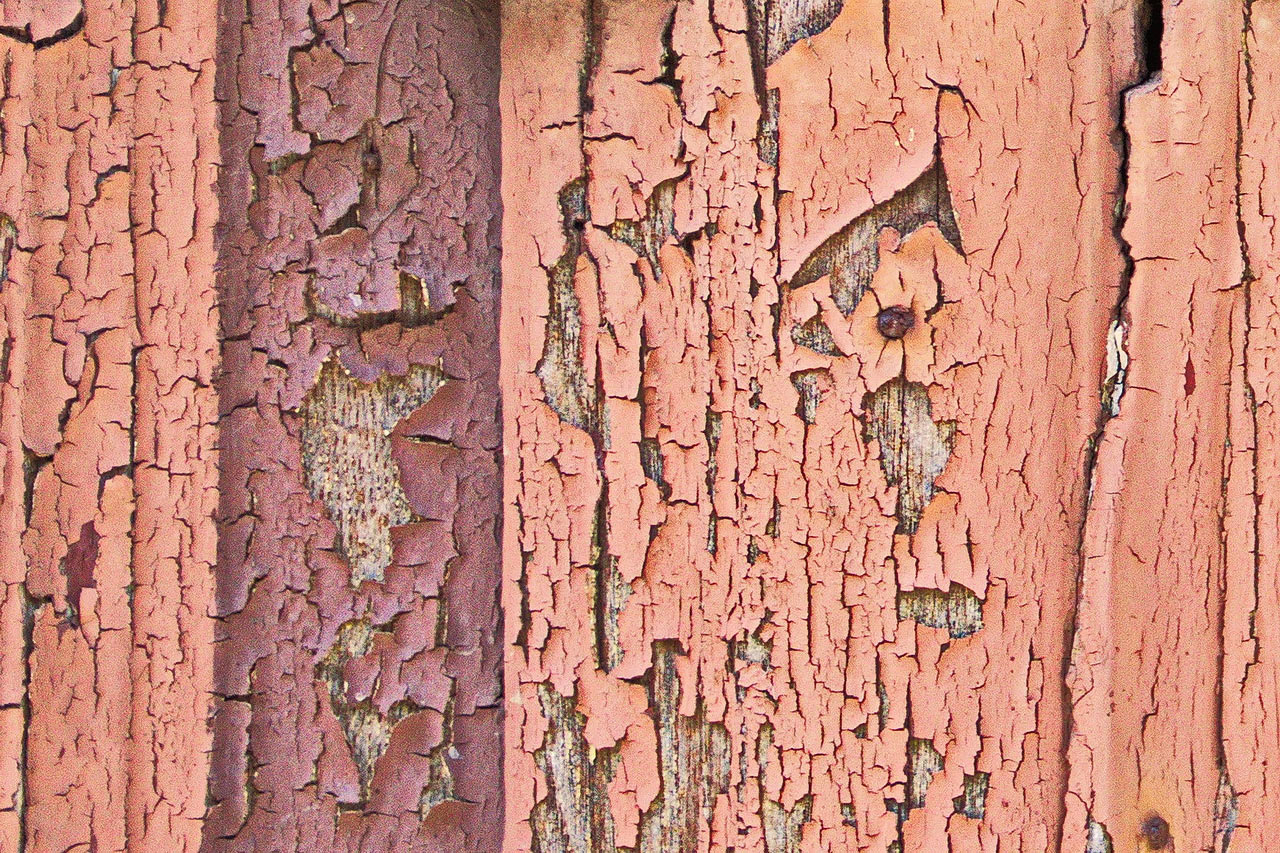 Serie: Vergänglichkeit (Foto: Roland Kastner)