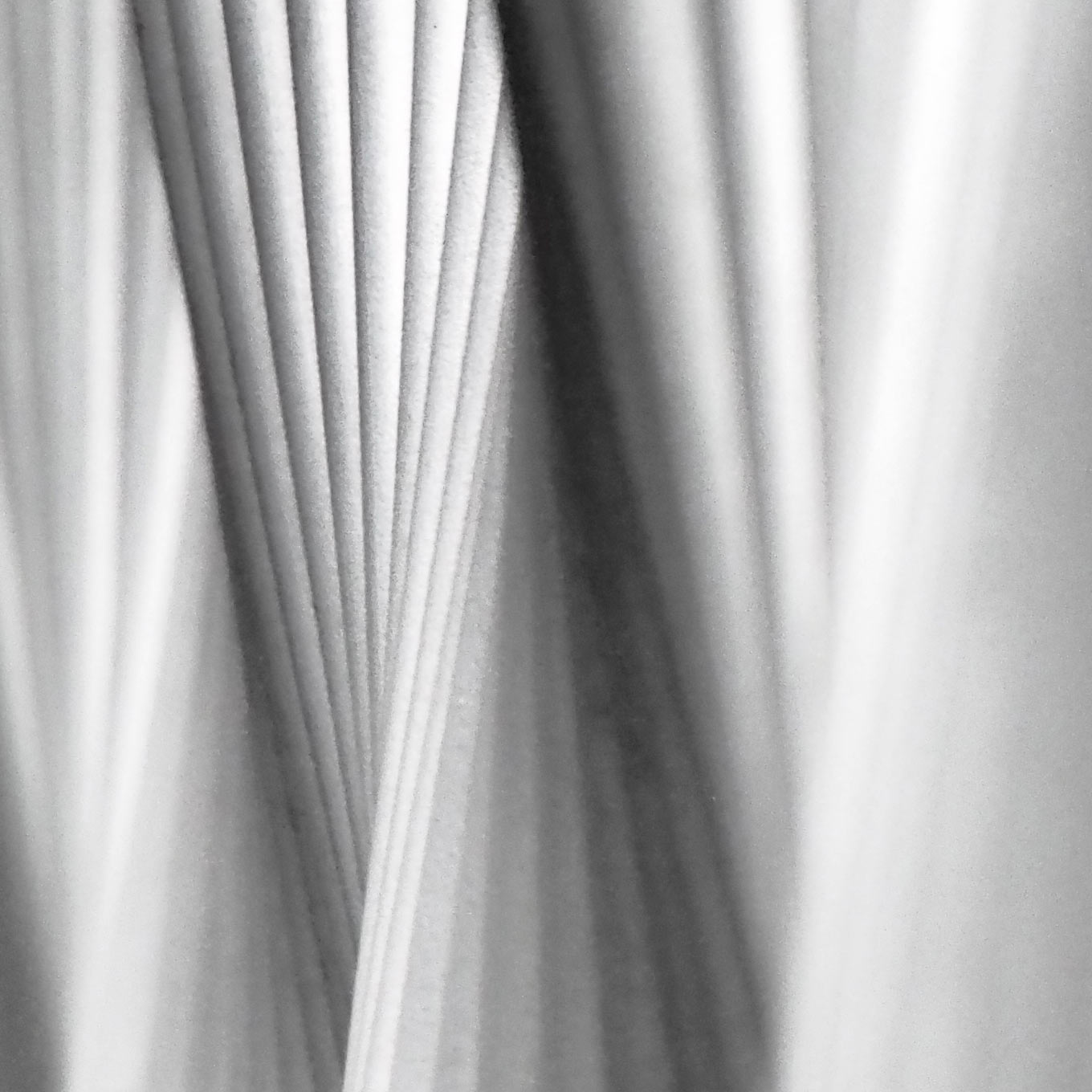 Zaunstruktur (Foto: Andreas Kuhrt)