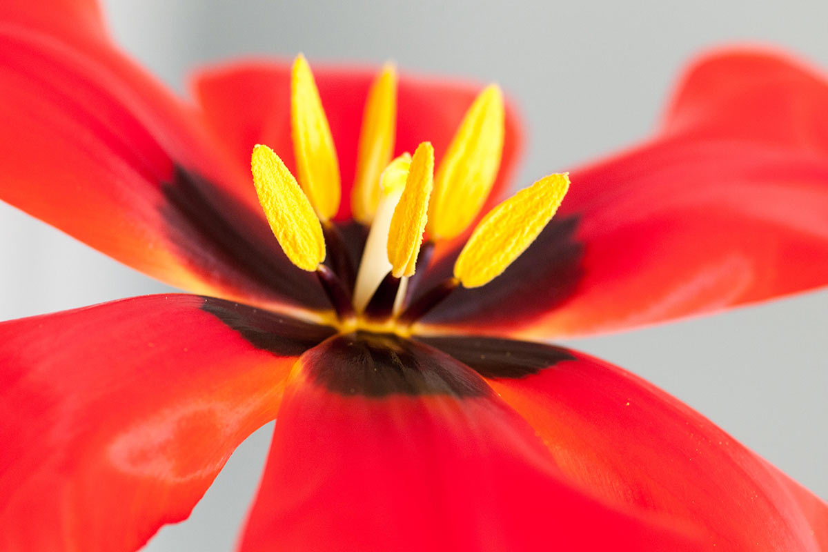 Fotoclub: Bild des Monats 10.2023