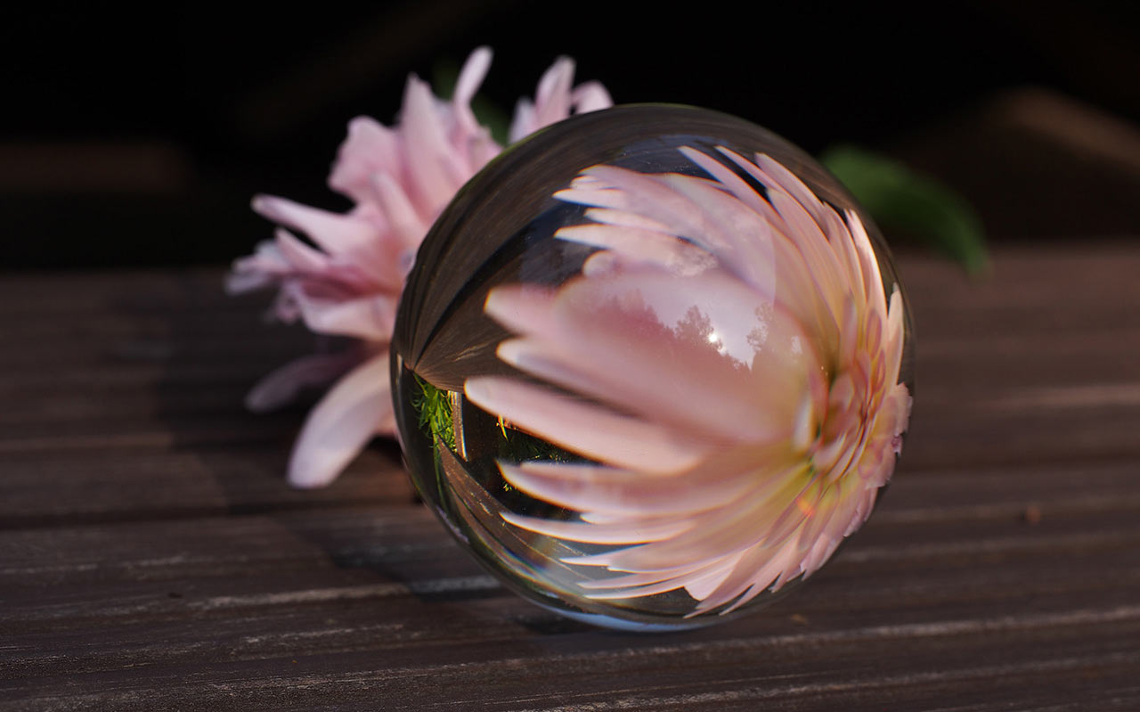 2015-10-08-blueten_kugel-mh-7-3 Blüten-Kugel (Foto: Manuela Hahnebach)