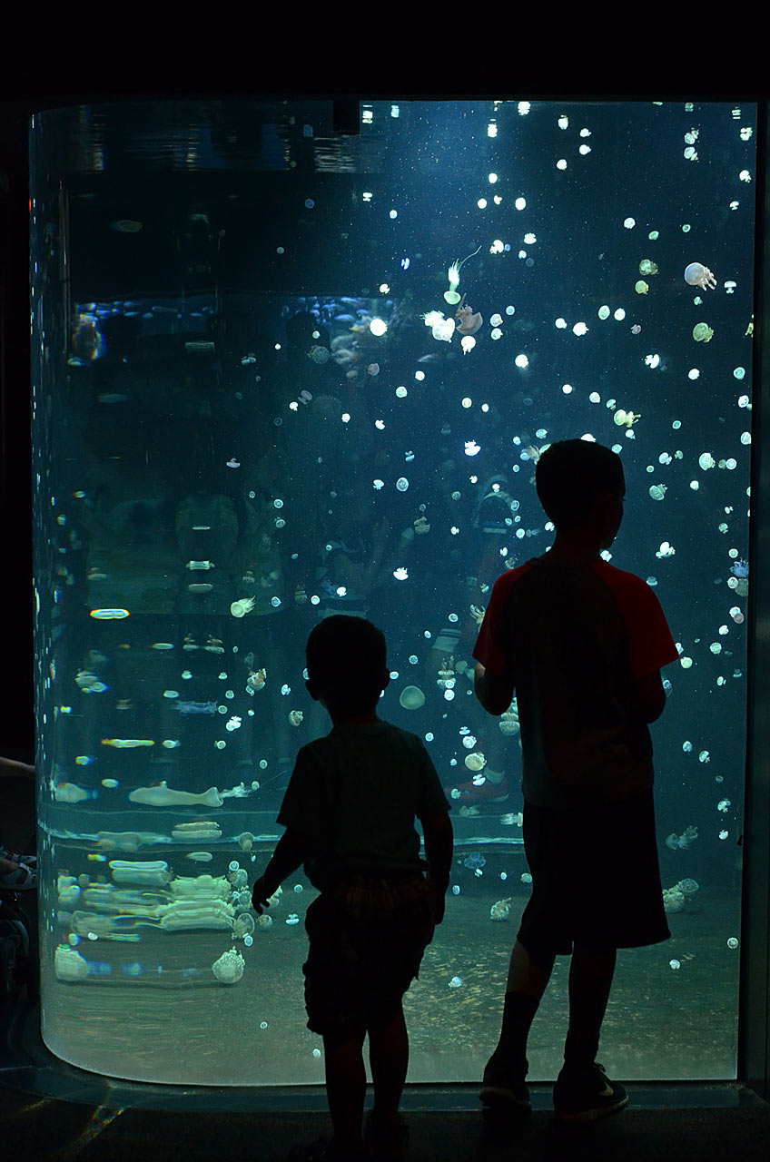 2015-10-20-Konturen-gg-7.33-1 Konturen (Foto: Günter Giese)