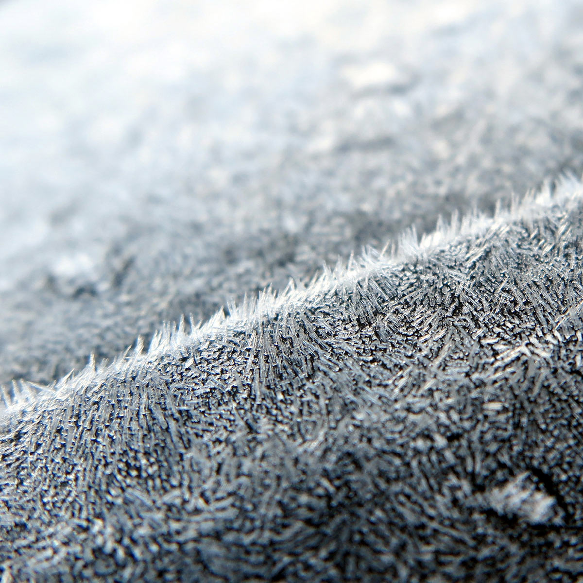 2015-10-zz03_Eis_0002-pms-5.6 Serie: Eis (Foto: Peter Maximilian Schmidt)