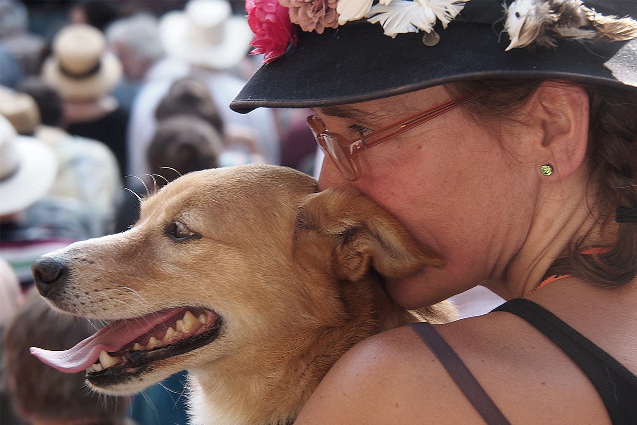 2015-11-04-auf-den-hund-gekommen-P0036218a-4.5 Auf den Hund gekommen (Foto: Andreas Kuhrt)