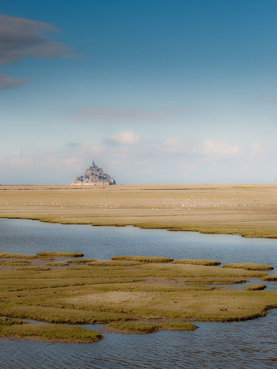 2015-11-20-im_meer-upf-5 Im Meer (Foto: Uli Pfeufer)