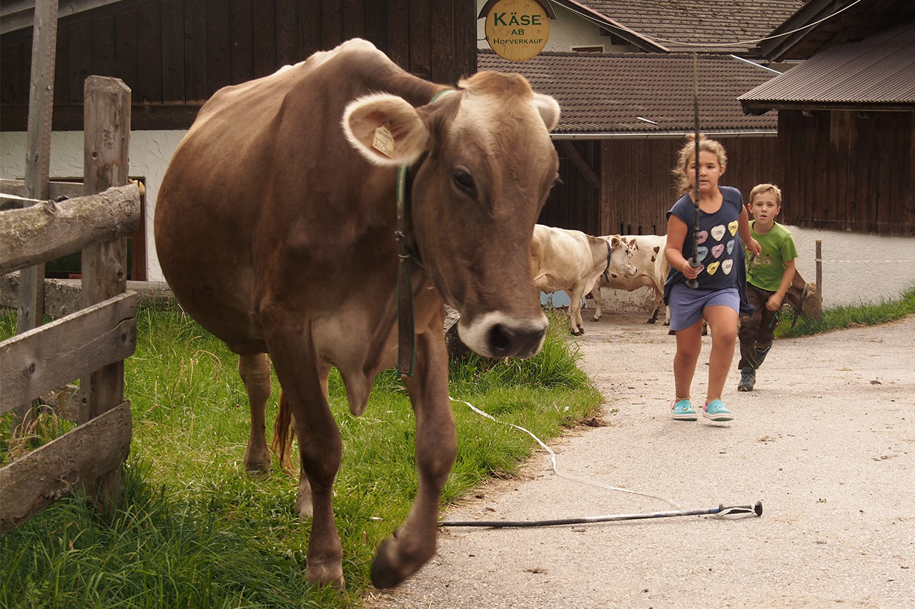 Fotoclub: Bild des Quartals 3.2025
