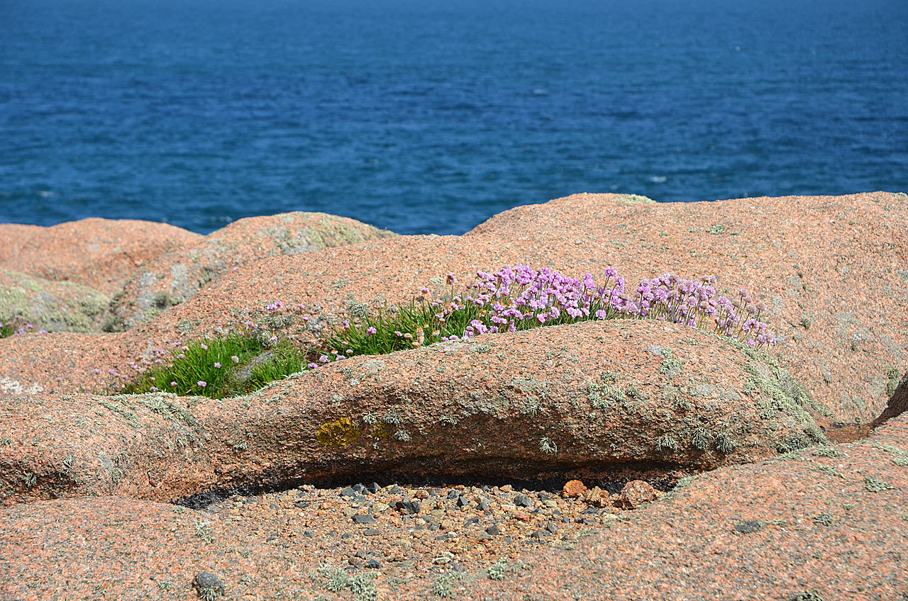 2015-11-zz05_bretagne-2-gg-4 Serie: Bretagne (Foto: Günter Giese)