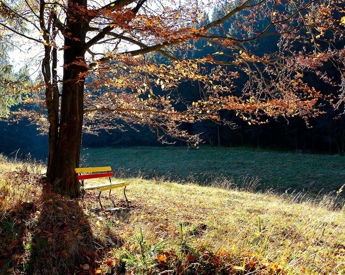 2015-11-zz06_6-DSC2128-khr-5.33 Serie: Herbst (Foto: Karl-Heinz Richter)
