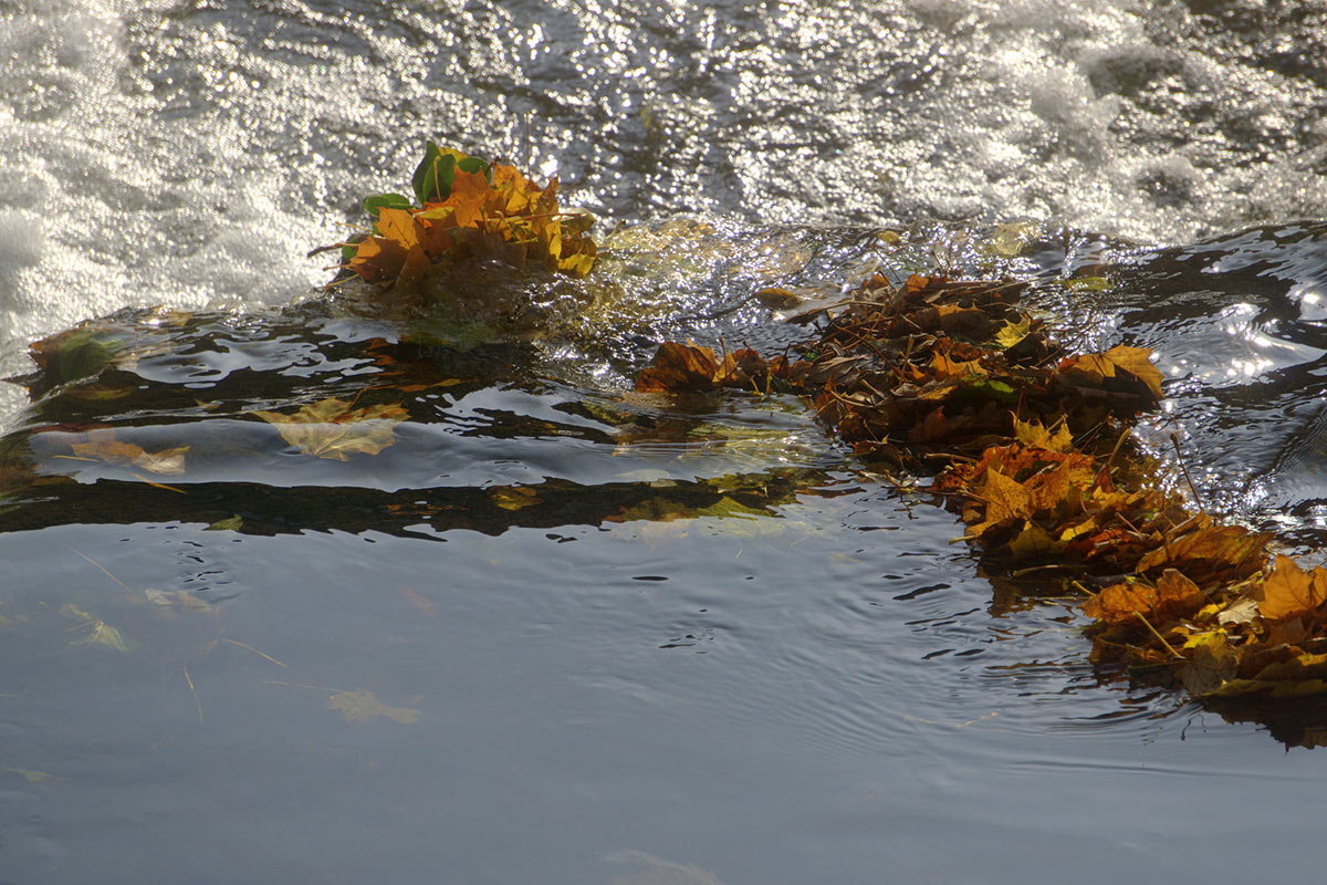 2015-11-zz06_8-DSC00729-khr-5.33 Serie: Herbst (Foto: Karl-Heinz Richter)